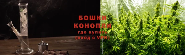 spice Осинники