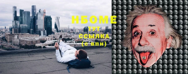 гашик Осташков