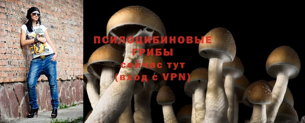 дурь Абаза